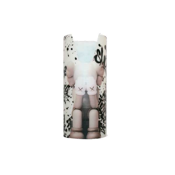 Tubo Skeleton Kaws